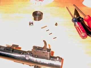 New trigger parts inserted before lubing