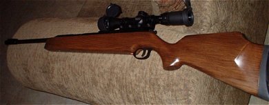 XS-B30 .22 Caliber