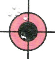 Gamo Shadow 1000 group at 30 yards, windy conditions