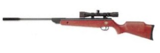 Beeman GS950 Combo