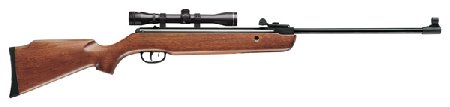 Crosman Quest 800X by MongoJoe