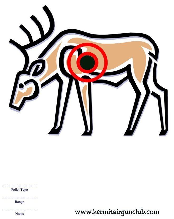 Deer