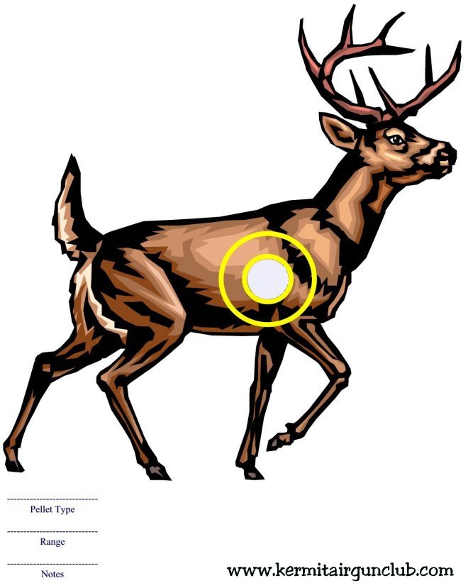 Deer
