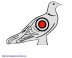 Dove