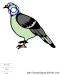 Dove