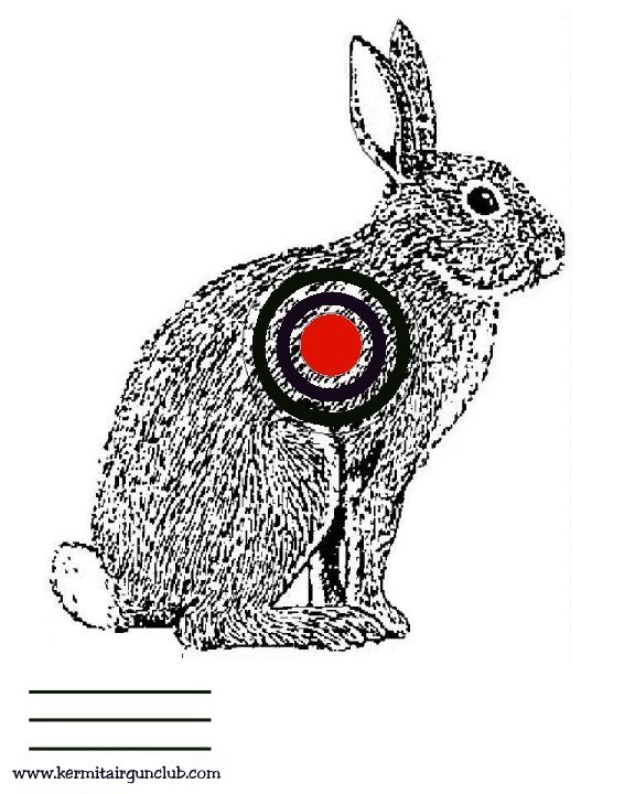 Rabbit 3