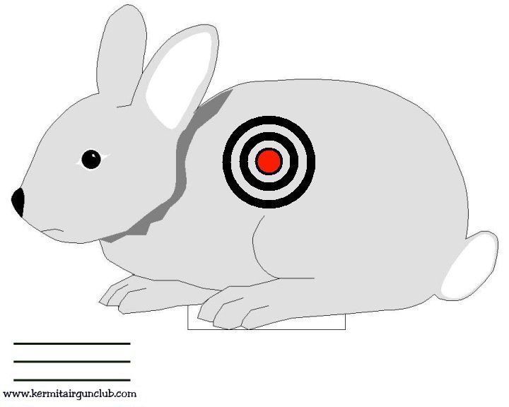 Rabbit1