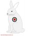 Rabbit2