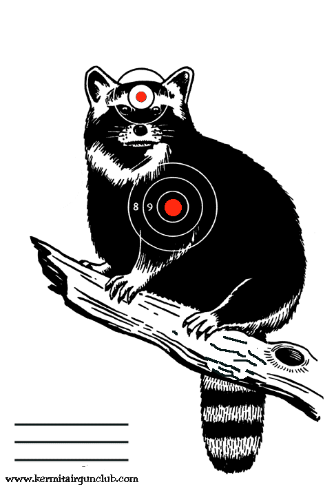 Raccoon
