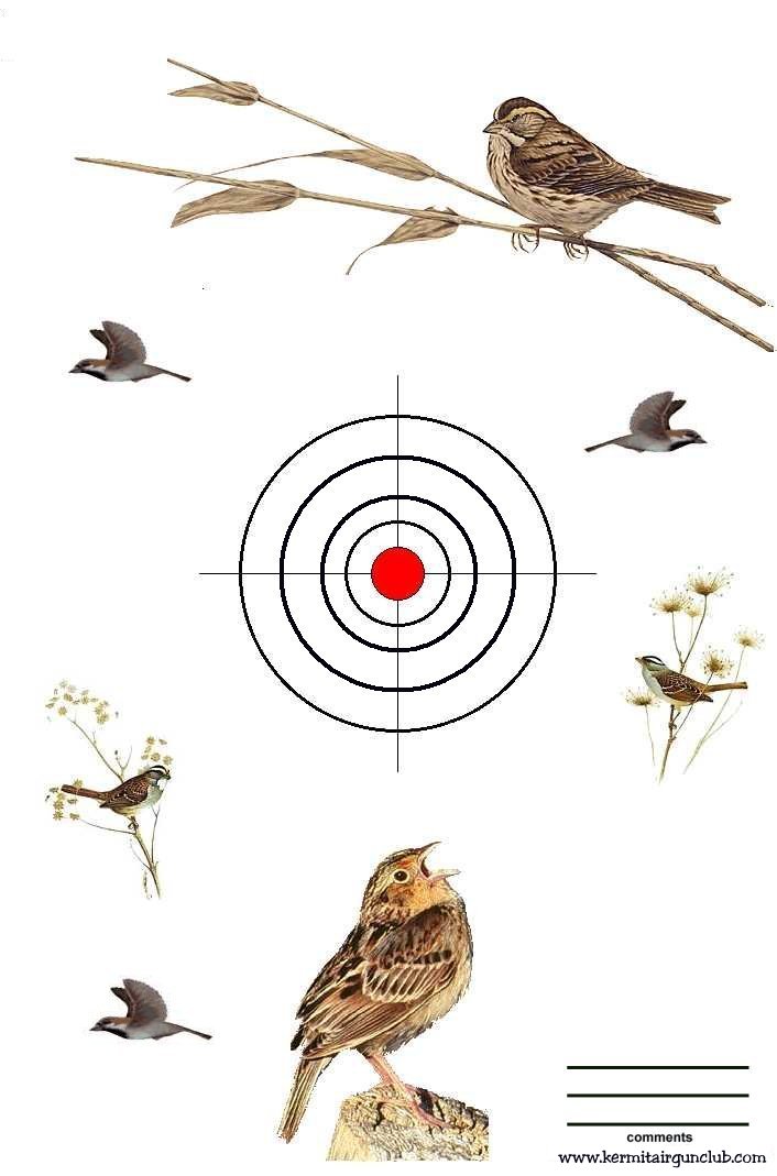 Sparrows