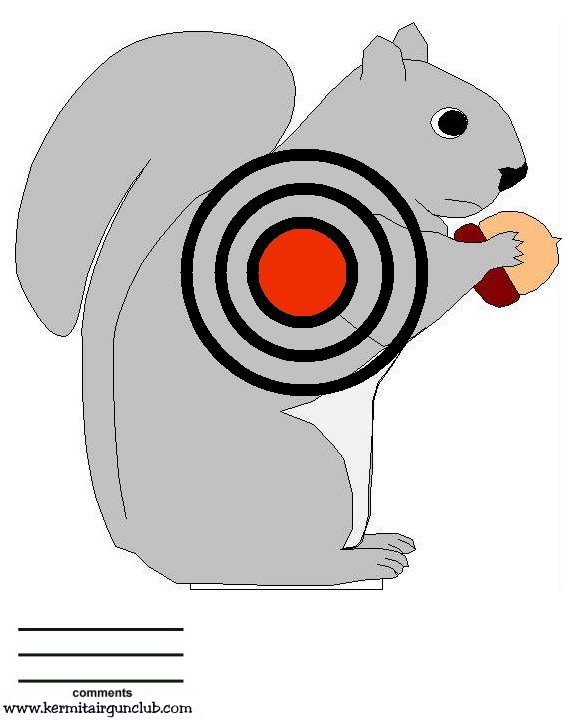 Squirrel 3