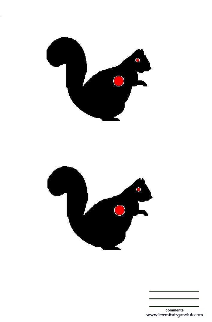 Squirrels