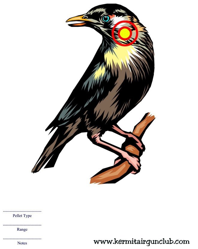 Starling